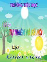 TNXH LOP 3 TUAN 23 BAI 46
