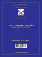 (Luận văn thạc sĩ) quản lý quỹ bảo hiểm xã hội tại bảo hiểm xã hội tỉnh đồng tháp 