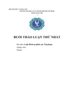 BÀI-THẢO-LUẬN-HÌNH-SỰ-PHÂN-CÁC-TỘI-PHẠM-LẦN-1