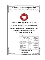 TRỒNG MỚI CÂY THANH LONG THEO TIÊU CHUẨN VIETGAP TẠI TỈNH BÌNH THUẬN