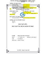 BÀI TẬP LỚN BÀI TẬP ỨNG DỤNG KINH TẾ HỌC đề tài bài tập ứng dụng kinh tế học 