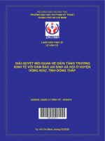 (Luận văn thạc sĩ) giải quyết mối quan hệ giữa tăng trưởng kinh tế với đảm bảo an sinh xã hội ở huyện hồng ngự, tỉnh đồng tháp 
