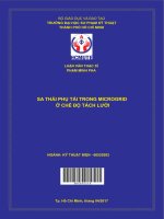 (Luận văn thạc sĩ) chương trình hóa thiết kế hệ thống nối đất cho trạm biến áp cao thế theo tiêu chuẩn IEEE std 80 2013 