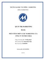 PHÂN TÍCH CHIẾN LƯỢC MARKETING CỦA CÔNG TY TH TRUE MILK 
