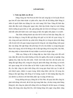 Tiểu luân cao học Công tác phát triển đảng viên ở đảng bộ xã tân phúc, huyện lang chánh, tỉnh thanh hoá hiện nay