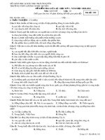 Đề kiểm tra giữa học kì 1 môn Lịch sử lớp 10 năm 2021-2022 - Trường THPT Lương Ngọc Quyến