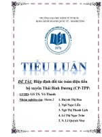 Hiệp định đối tác toàn diện tiến bộ xuyên thái bình dương (CP - TPP )