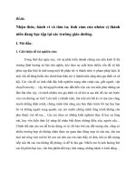 Tiểu luận xã hội học   nhận thức, hành vi và tâm tư, tình cảm của nhóm vị thành niên đang học tập tại các trường giáo dưỡng