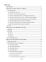 CHIẾN LƯỢC MARKETING QUỐC TẾ CỦA BIA SÀI GÒN VÀO THỊ TRƯỜNG SINGAPORE