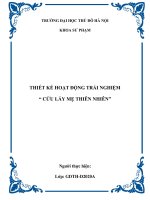 Hoạt động trải nghiệm lớp 5