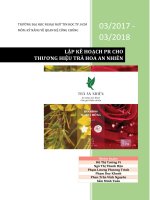 Lập kế hoạch pr cho thương hiệu trà hoa an nhiên