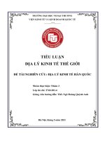 TIỂU LUẬN ĐỊA LÝ KINH TẾ THẾ GIỚI ĐỀ TÀI NGHIÊN CỨU ĐỊA LÝ KINH TẾ HÀN QUỐC
