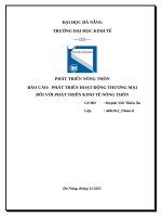 Phát triển hoạt động thương mại đối với phát triển kinh tế nông thôn