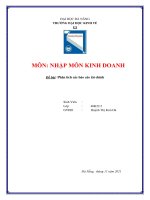 phân tích tài chính công ty hòa phát