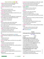 MASTERING YOUR PHRASAL VERBS 19