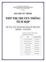 TIẾP THỊ TRUYỀN THÔNG TÍCH HỢP đề TÀI XÂY DỰNG KẾ HOẠCH TRUYỀN THÔNG   COCOON 