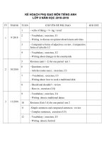 ke hoach phu dao anh 8 thi diem