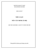 Tiểu luận nền văn minh ấn độ