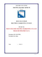 PHÂN TÍCH MÔI TRƯỜNG MARKETING CỦA SẢN PHẨM MÌ TÔM PHUN LỬA