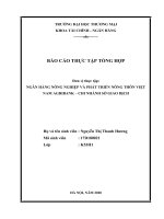 Báo cáo thực tập tại NGÂN HÀNG NÔNG NGHIỆP VÀ PHÁT TRIỂN NÔNG THÔN VIỆT NAM AGRIBANK – CHI NHÁNH SỞ GIAO DỊCH