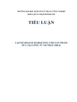 LẬP KẾ HOẠCH MARKETING CHO SẢN PHẨM SỮA TẠI CÔNG TY TH TRUE MILK