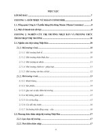 CHIẾN LƯỢC MARKETING QUỐC TẾ CỦA MASAN CONSUMER ĐỐI VỚI SẢN PHẨM TƯƠNG ỚT CHINSU  TẠI THỊ TRƯỜNG NHẬT BẢN