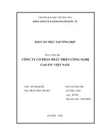 BÁO cáo THỰC tập TỔNG hợp kinh doanh quốc tế CÔNG TY CỔ PHẦN PHÁT TRIỂN CÔNG NGHỆ CAO ITC VIỆT NAM