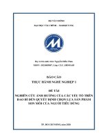 Nghiên cứu ảnh hưởng của các yếu tố trên bao bì đến quyết định lựa chọn sản phẩm son môi của người tiêu dùng