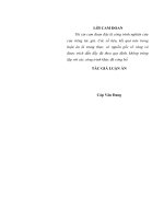 (Luận án tiến sĩ) đảng lãnh đạo quân tình nguyện việt nam tại lào từ năm 1960 đến năm 1973 