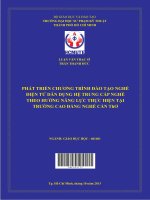 (Luận văn thạc sĩ) phát triển chương trình đào tạo nghề điện tử dân dụng hệ trung cấp nghề theo hướng năng lực thực hiện tại trường cao đẳng nghề cần thơ 