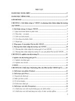 CHIẾN LƯỢC MARKETING QUỐC TẾ CỦA PHỞ BÒ ĂN LIỀN VIFON TẠI ÚC