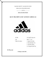 QUẢN TRỊ CHIẾN LƯỢC TẬP ĐOÀN ADIDAS AG 