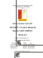 Báo cáo bài tập lớn tổ chức và quy hoạch mạng viễn thông