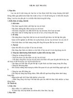 Bai 13 Luc ma sat PPmoi