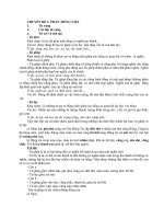 On 9 len 10 phan Tieng Viet mon Ngu Van