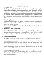 Văn hóa kiến trúc trong nhà cổ Vĩnh Long