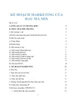 KẾ HOẠCH MARKETING của RAU má MIX
