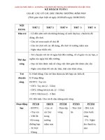GIÁO ÁN NHÀ TRẺ 12  24 THÁNG (TẢI TRỌN BỘ 35 TUẦN TRONG FILE ĐÍNH KÈM TÀI LIỆU NÀY)