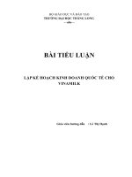 TIỂU LUẬN LẬP KẾ HOẠCH KINH DOANH QUỐC TẾ CHO CÔNG TY CỔ PHẦN SỮA VIỆT NAM – VINAMILK
