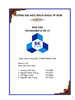 Báo cáo thí nghiệm vi xử lý