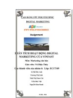 TIỂU LUẬN PHÂN TÍCH HOẠT ĐỘNG DIGITAL MARKETING CỦA VINFAST