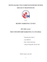 TIỂU LUẬN MARKETING CĂN BẢN PHÂN TÍCH HỖN HỢP MARKETING CỦA VINAMILK