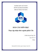 Báo cáo môn học thực tập nhận thức ngành phần cầu