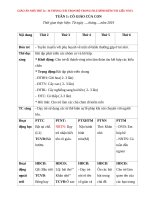 GIÁO ÁN NHÀ TRẺ 24  36 THÁNG (TẢI TRỌN BỘ 35 TUẦN TRONG FILE ĐÍNH KÈM TÀI LIỆU NÀY)