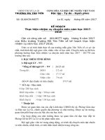 ke hoach chuyen mon 2017 2018