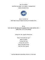 TIỂU LUẬN XÂY DỰNG KẾ HOẠCH MARKETING CHO DÒNG SỮA ORGANIC CỦA CÔNG TY CỔ PHẦN SỮA VIỆT NAM – VINAMILK