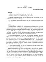 HỒI SINH TIM PHỔI CƠ BẢN