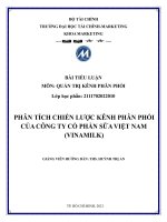 TIỂU LUẬN PHÂN TÍCH CHIẾN LƯỢC KÊNH PHÂN PHỐI CỦA CÔNG TY CỔ PHẦN SỮA VIỆT NAM – VINAMILK