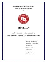 TIỂU LUẬN PHÂN TÍCH BÁO CÁO TÀI CHÍNH CÔNG TY CỔ PHẦN TẬP ĐOÀN FLC GIAI ĐOẠN 2017 – 2020