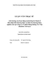 Ảnh hưởng của hoạt động marketing kỹ thuật số đến nhận biết thương hiệu và niềm tin thương hiệu nghiên cứu tại công ty cổ phần hàng không tre việt (bamboo airways) 